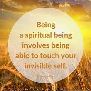 Dr. Wayne W. Dyer on Reels