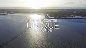 🎬 Découvrez LE GOIS, ce merveilleux ruban submersible, classé site d'intérêt national & patrimonial et laissez-vous porter par sa magie et son spectacle hors du commun 🙂❤️🙏 | Office de Tourisme de l'île de Noirmoutier