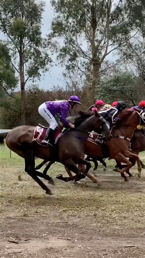 The Buchan Cup is right around the corner 🤩 All the information you need via the link in our bio. #AsRealAsItGets | Country Racing Victoria