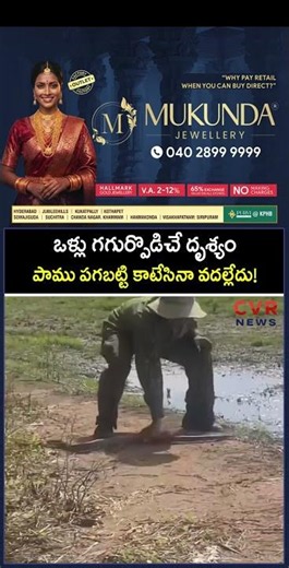 ఒళ్లు గగుర్పొడిచే దృశ్యం పాము పగబట్టి కాటేసినా వదల్లేదు! | Fight Between Snake And Man | CVR NEWS