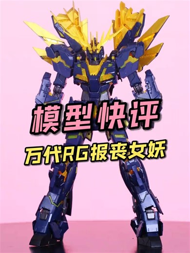 Unboxing the RG Banshee Norn and Special Coating Details