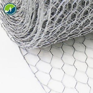 [Hot Item] PVC Galvanized Crawfish Trap Crab Trap Chicken Rabbit Wire Mesh