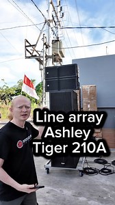 Line array ashley tiger 210 | Andre Fortino Pro
