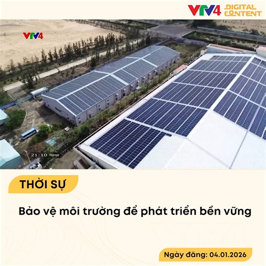 Bảo vệ môi trường là "trụ cột" quan trọng của phát triển bền vững, là vấn đề được Đảng, Nhà nước Việt Nam quan tâm từ rất sớm #vtv #vtv4 #vietnam #baovemoitruong | VTV4