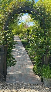 67K views · 9.4K reactions | Morning garden stroll ✨殺 | Garden Answer | Facebook