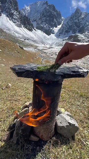 #cookingforest#outdoorcooking #cooking #Recipe #beef #survivor#cookingasmr #leon#outdoorcooking #cookingnature
