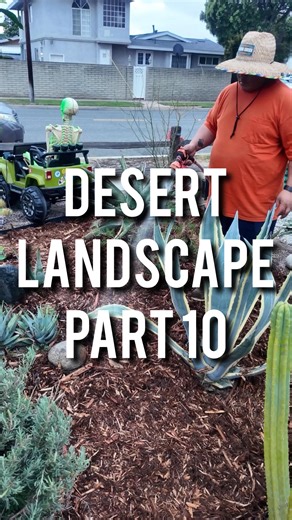 Desert Landscape Part 10 Mulch Mulch is great for a desert landscape helping your plants thrive and maintain moisture levels. I like to mix it up and add more diversity which is hard to do if you keep your desert landscape more arid. #garden #gardening #diy #desert #landscape | Urrbangarden