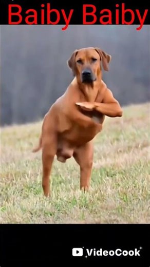 Digi Digi dance challenge#baibybaiby#trending#viral#dancechallenge#anime#kenyan#tanzaniatoday