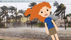 Re-insurance & Double Insurance in Business: Definition & Uses