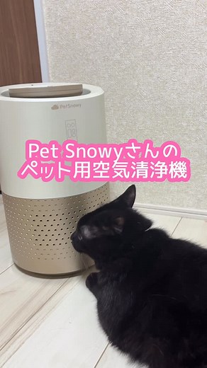 きんむぎ on Instagram: "今年も換毛期がやってきました 我が家の2匹のニャンズ達も毛が抜けて 床にたくさん落ちています... 抜け毛対策をどうしたものか...と思っていた所 @petsnowy_jp さんからお声かけいただき 「ペット用空気清浄機」をいただきました！ ペットケアを大切にしているメーカー様 からのペット用空気清浄機 ペットと暮らす人、お子様がいるご家庭に 嬉しい機能が盛り沢山！ 1.Tio2消臭システム 2.リモコン＆アプリで遠隔機能 3.強力な吸毛力 4.簡単フィルターで掃除をラクチンに！ 5.静音設計 我が家にきてから毎日稼働していて 生活に欠かせない存在になってます🐈‍⬛ ペットも子供もいるご家庭には 是非オススメしたい商品です🐈🤍 気になる方は、下記のリンクまたは @petsnowy_jp のプロフィールからチェック！ ▼空気清浄機_公式リンク▼ https://petsnowy.com/products/petsnowy-pet-air-purifier-jp #petsnowy #ペット用空気清浄機 #空気清