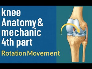 knee Anatomy & Mechanic part 4 : Rotation Movement