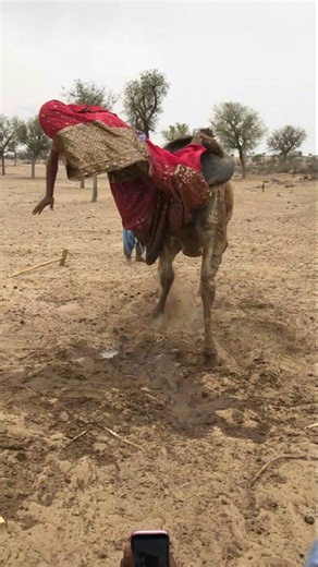 ألوانٌ ترقصُ فوقَ الرمال"