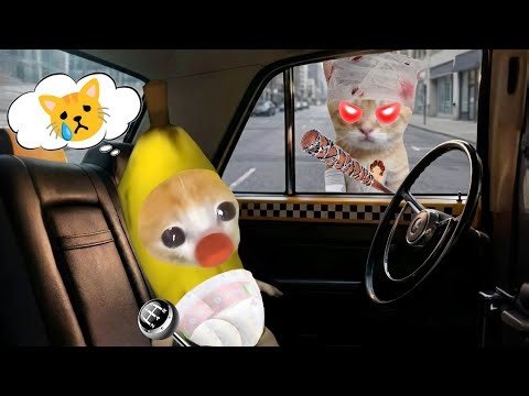 Banana cat crying not happy compilation 514 #babybananacat #happycat #catmemes #bananacat