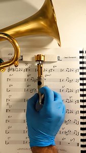 In a Mellow Tone 🎺✨ | Avior Rokah