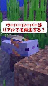 【マイクラ】ウーパールーパーはリアルでも再生する？【ゆっくり解説】