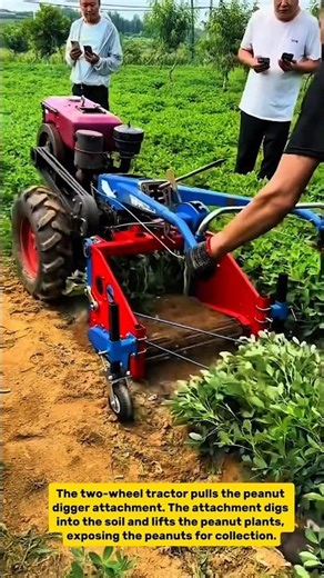 Two-Wheel Tractor Peanut Harvesting: Small-Scale Farming Technology