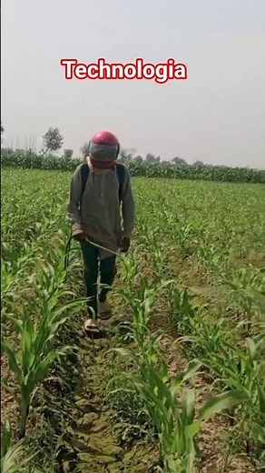 funny video #funny #laugher #memes #trynottolaugh #trending #hindi #dontlaught #funnyvideos #comedy