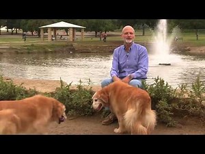 "The Gospel According to Dogs" Sermon Series by Dr. Tim Bruster