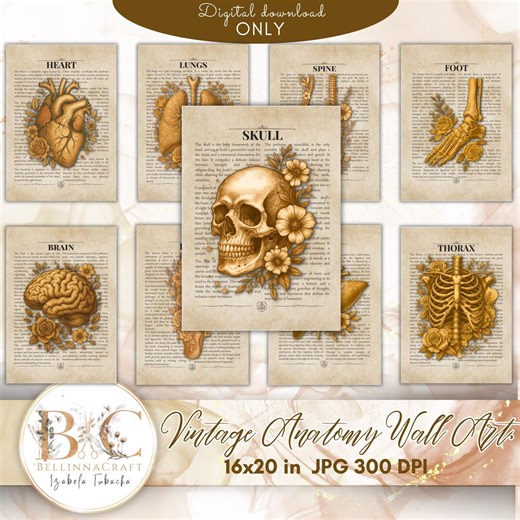 Vintage Anatomy Wall Art Set, Antique Medical Illustrations, Human Body Organ Prints, Floral Anatomical Posters, Retro Science Decor JPG - Etsy