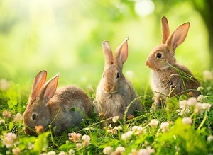 Why Do People Lie? 3 primary causes of telling lies - os.me