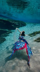 Today is the ✨LAST DAY✨ to get Indigo before it swims away. We have loved seeing this tail remind mermaids of their inner power. 🥹 Is this unique beauty for you? Swim on over to www.finfolk.com to collect @merbellastudios Indigo before we reveal a new tail of the month tomorrow! 🌌🌹✨ #merbella #mermaid #mermaidtail #merbellabyfinfolk | Finfolk Productions