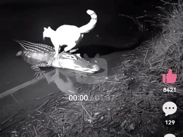 电脑未激活方法见简介