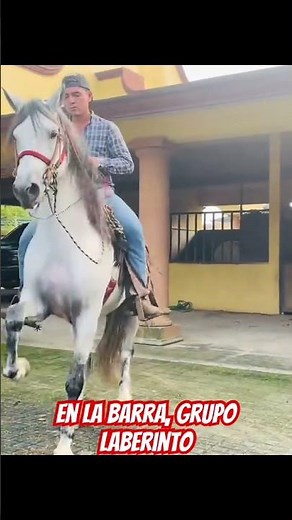 En la barra, grupo Laberinto