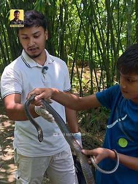 Teaching the little ones to recognize the snake and distinguish it from the kalach. #wildlife #sh...