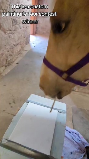 2.3K views · 189 reactions | This painting is for the winner of Coupers custom painting. Called Coupers Love If you would like this painting or want one of your own one of a kind painting you can visit his etsy store Here is the link https://www.etsy.com/ca/shop/CoupersStudio?ref=seller-platform-mcnav #horses #horse #paintinghorse #equineartist #amazing #beautiful | Couper the clever horse | Facebook