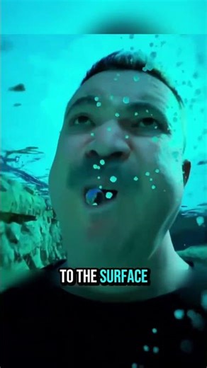 How to remove a wasp nest?