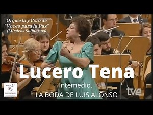 What a Master of the Castanets Can Do