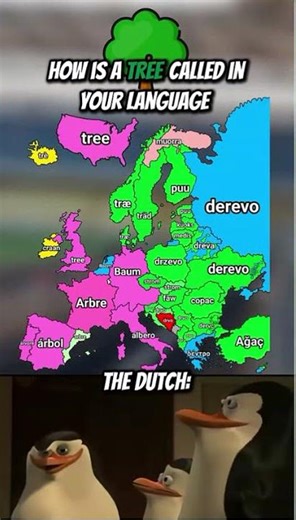 How Is Tree Called In Your Language