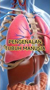 Pengenalan Tubuh Manusia