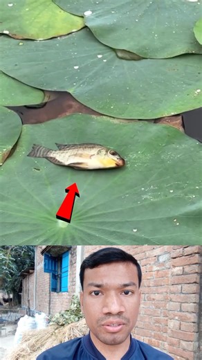 Overconfidence Leads to a Hard Fall 😬