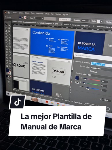 Plantilla Manual de Marca Premium Editable en Illustrator