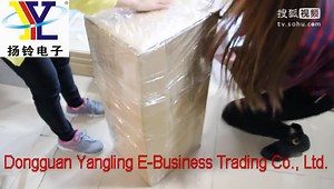 东莞扬铃电子Dongguan Yangling E-Business Trading Co., Ltd._0