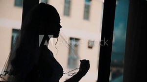 Silhouette of bride girl in vail waiting for groom in front of window in dark room on wedding day