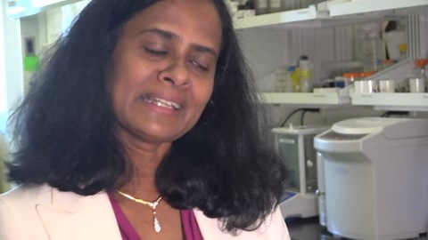 UNCG researchers have figured out how to extract lithium from water