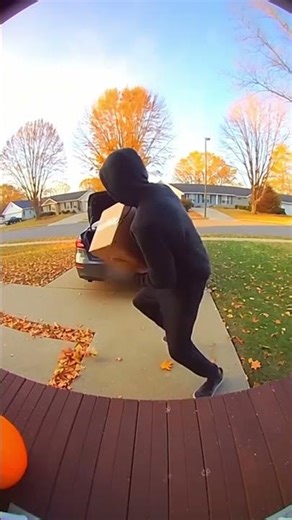 Porch Pirate Revenge is a dish best served with the color BLUE 💎🧨