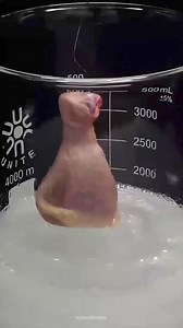 Strongest acid in the world.. #sciencefacts #reelsviralfb #trendingreels #viralpost2024 #reelsviralシ | ScienceTimes