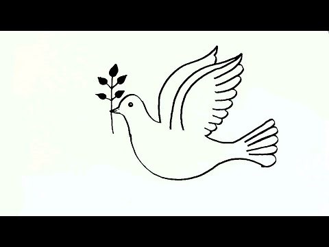 How to draw a Peace Dove- in easy steps advanced drawing lesson.