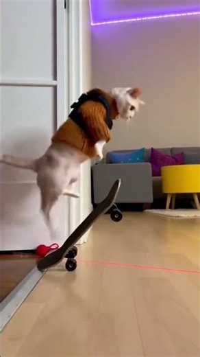 Minskin Stunt Double Slides Under Everything