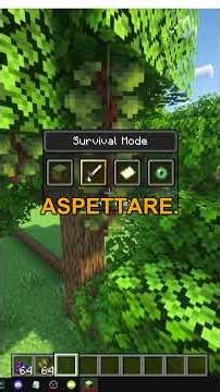 COME TROVARE L'UVA SELVAGGIA in MINECRAFT Kaleidoscope