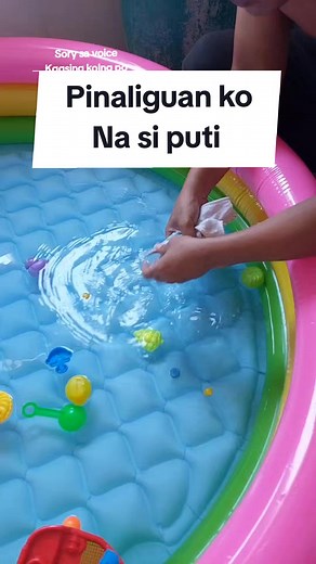 Nilinisan ko na si puti parakeets for beginners start to breed lovebirds #lovebirds #beginner #budgie #parrot #african #bird #beginner #feed #freeflight #pageforyou #foryoupage #foryou #fyp #trending #ibon #viral #breeder #everyone