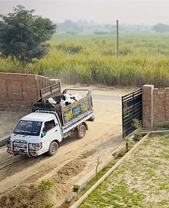 Exploring Mehdi Dairy Farm's Newest Innovations