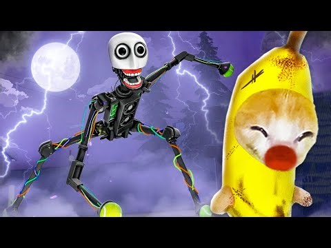 Banana Cat Hunted by the E.L.B.E.R.R ROBOT 😱🐱 Baby Banana Cat Compilation | Happy Cat Crying MEME 😿