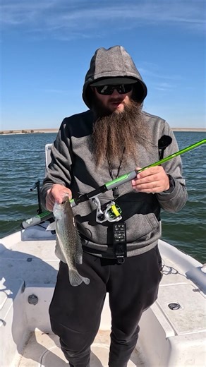 Testing Out the New ACC Crappie Stix Legacy X 1000 Reel! FULL VIDEO OUT NOW Man, this setup feels amazing paired with the 10ft Super Grip jigging rod from ACC Crappie Stix! I spent the day chasing crappie after a cold front rolled through (it dropped below 32° the night before), so the bite was a little tough, but I still managed to find some and put a few good ones in the boat. My go-to bait today was Kai's Custom Jigs 2” Stinger Minnow in Purple & Monkey Milk & the Gold & Monkey Milk. 👉 Disco