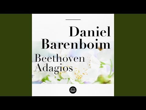 Piano Sonata No. 28 in A Major, Op. 101: III. Adagio ma non troppo con affetto - IV. Allegro