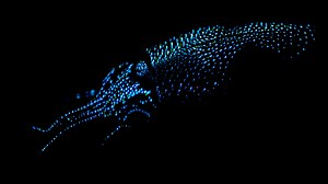 Bioluminescence Explained | Natural World Facts