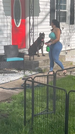 570K views · 5.6K reactions | King ! | Alpha Z Hoggz | Facebook